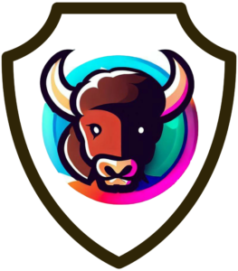 Bison IT Solutions